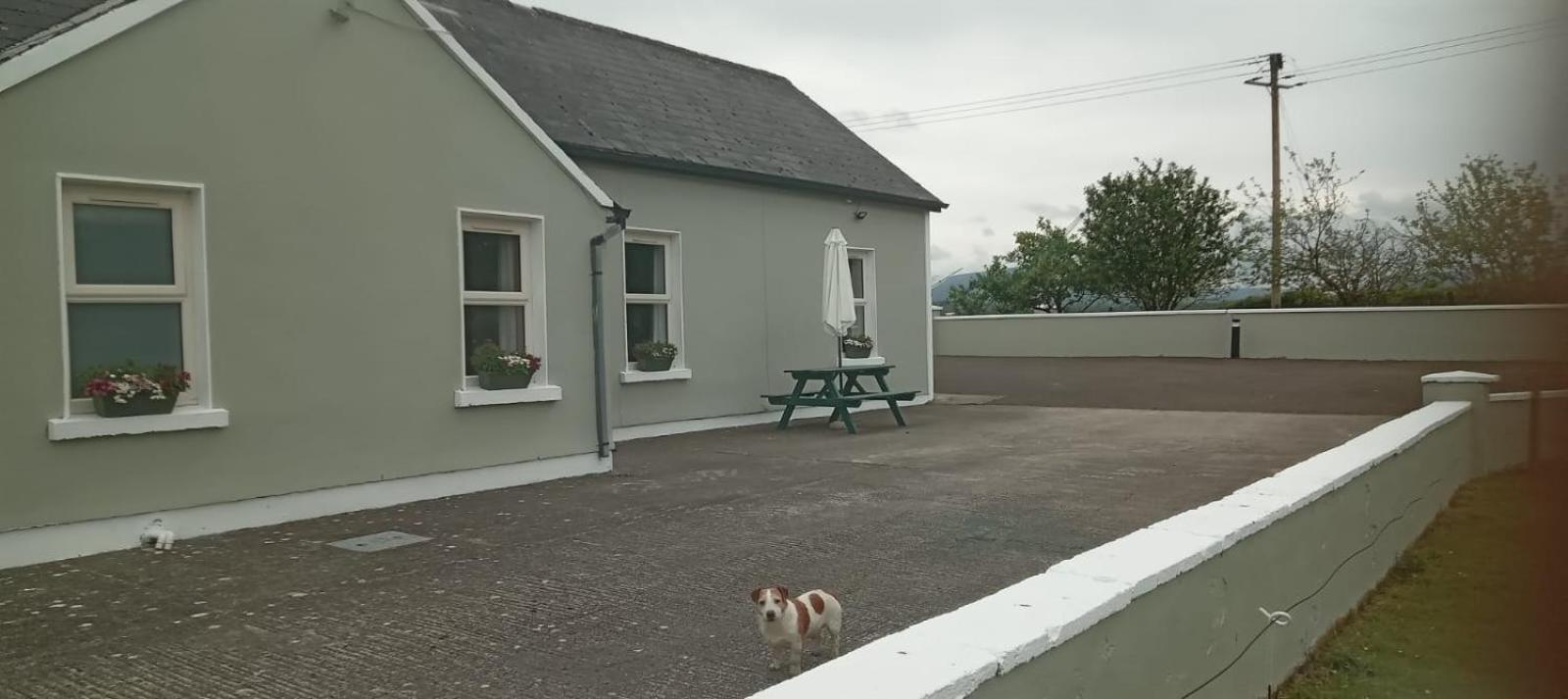Birdhill Farmhouse Tipperary Exterior foto